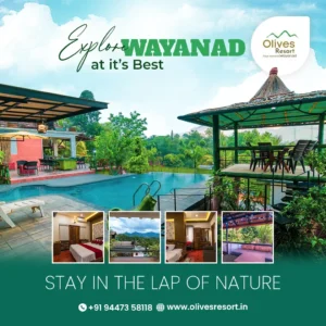 Olives Boutique Resort