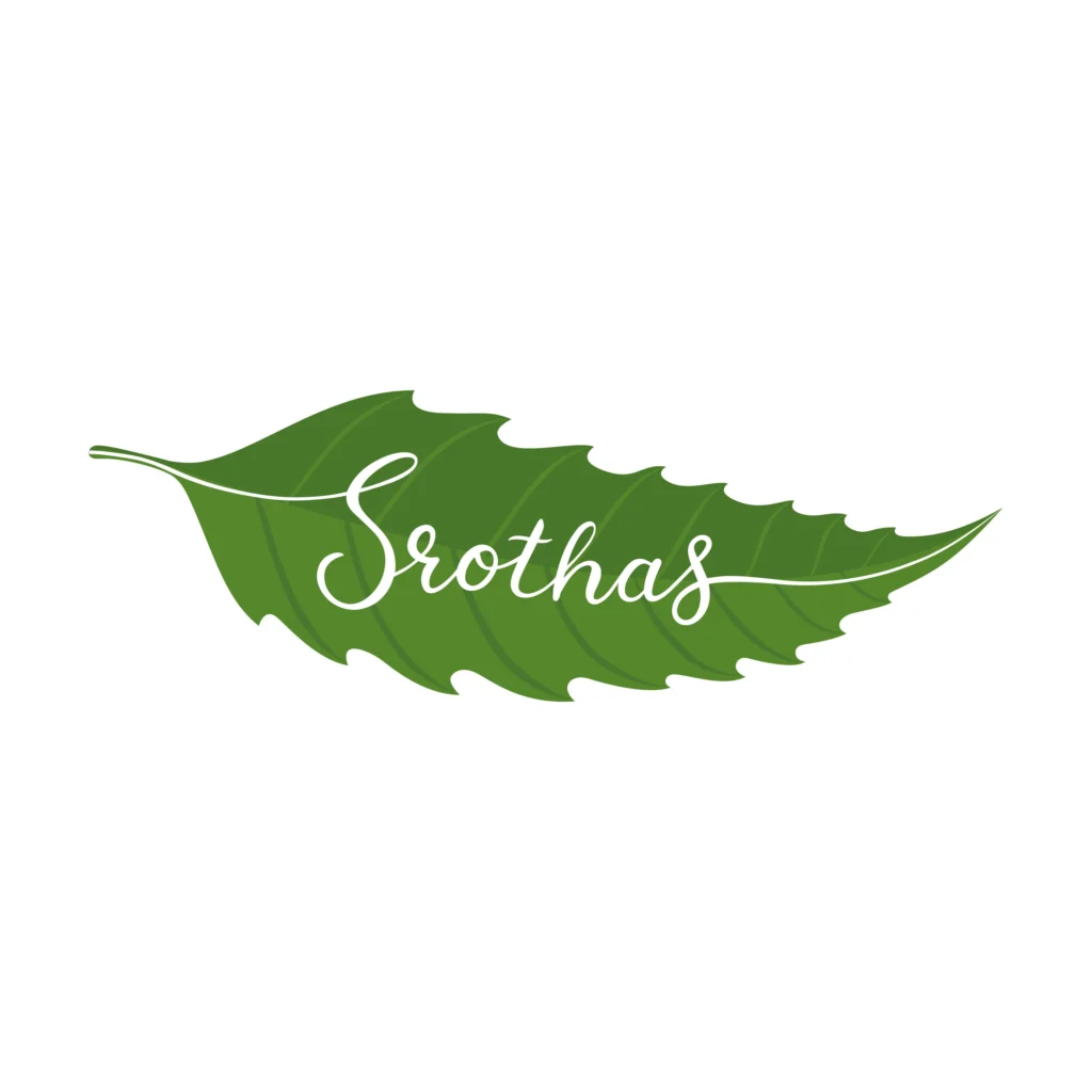 Srothas Ayurveda Panchakarma