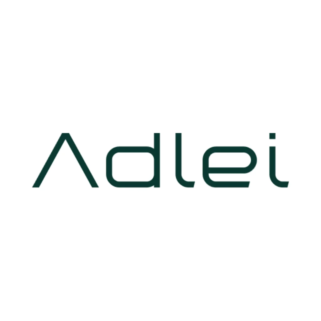 Adlei Digital Marketing Agency