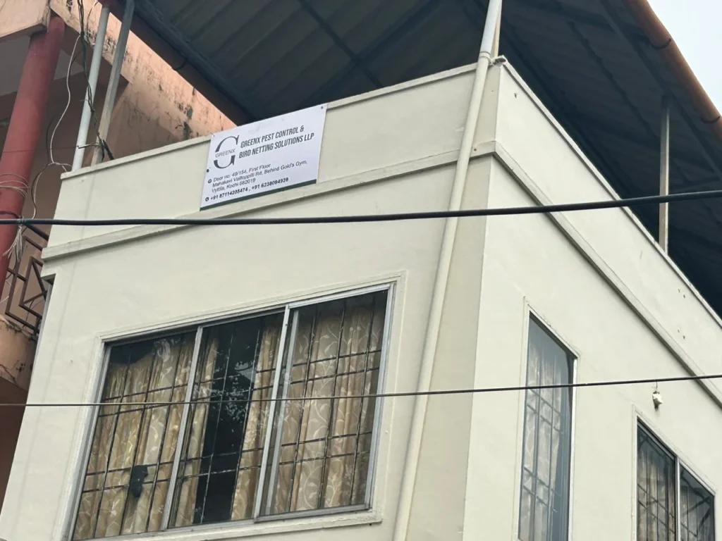 Greenx Pest Control & Bird Netting Solutions