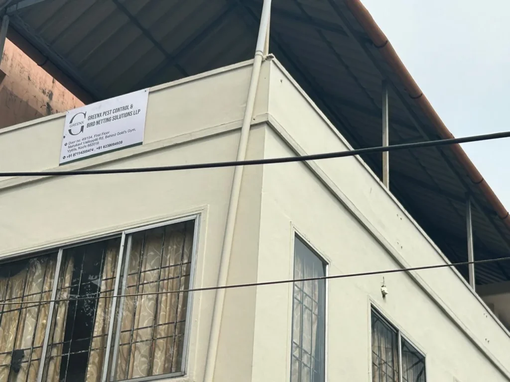 Greenx Pest Control & Bird Netting Solutions