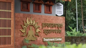 pranavam ayurveda