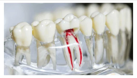 Smile Lounge Dental Clinic