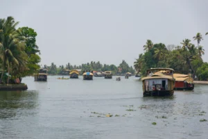 Waves and Dales Alleppey Houseboats